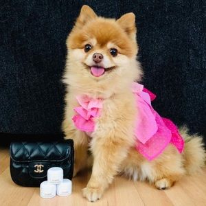 Pink layered bow dress for small dog